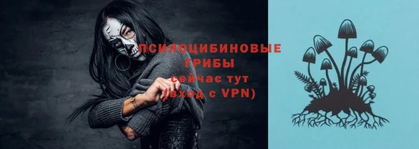 ECSTASY Покровск