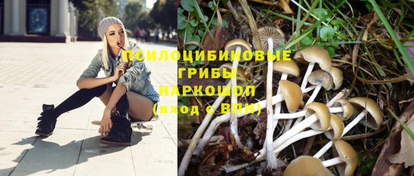 ECSTASY Покровск
