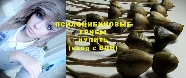 a pvp Пестово