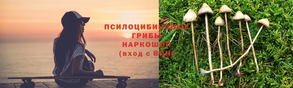 a pvp Пестово