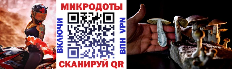 Псилоцибиновые грибы Cubensis  Купить  Чухлома 